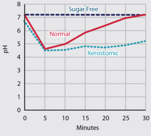 FIGURE 1. A graphic plot of pH in dental plaque after a 60-second rinse with 10% sucrose or sugarfree gum. The pH stays at demineral - izing levels in patients with xerostomia for much longer than in patients with normal salivary function. Salivary dysfunction disables the neutral - izing response to sugar-driven bacterial acid production, and defines severe risk for dental caries. It is common in older adults due to physiology, disease, and the use of multiple prescription drugs. This indicates advanced interventions that may include the use of silver diamine fluoride.