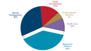 FIGURE 2.Determinants of Health.