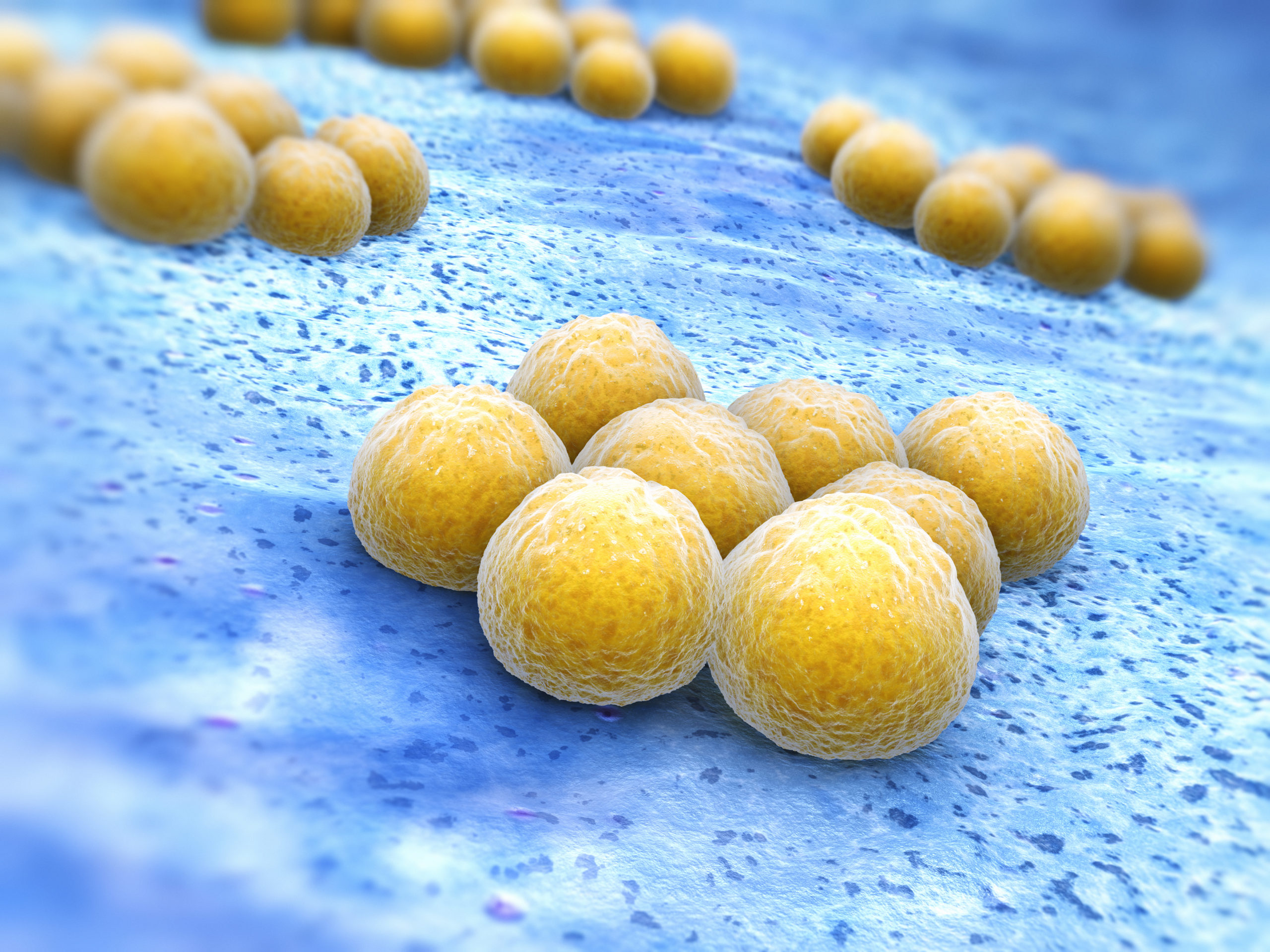 New Vaccine Technology Combats Antibiotic-resistant Staph Infections 