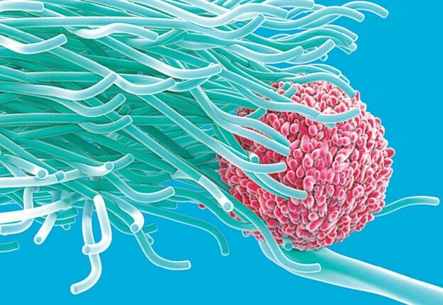 Immune Response in Patients With Type 2 Diabetes or Human Immunodeficiency Virus course image