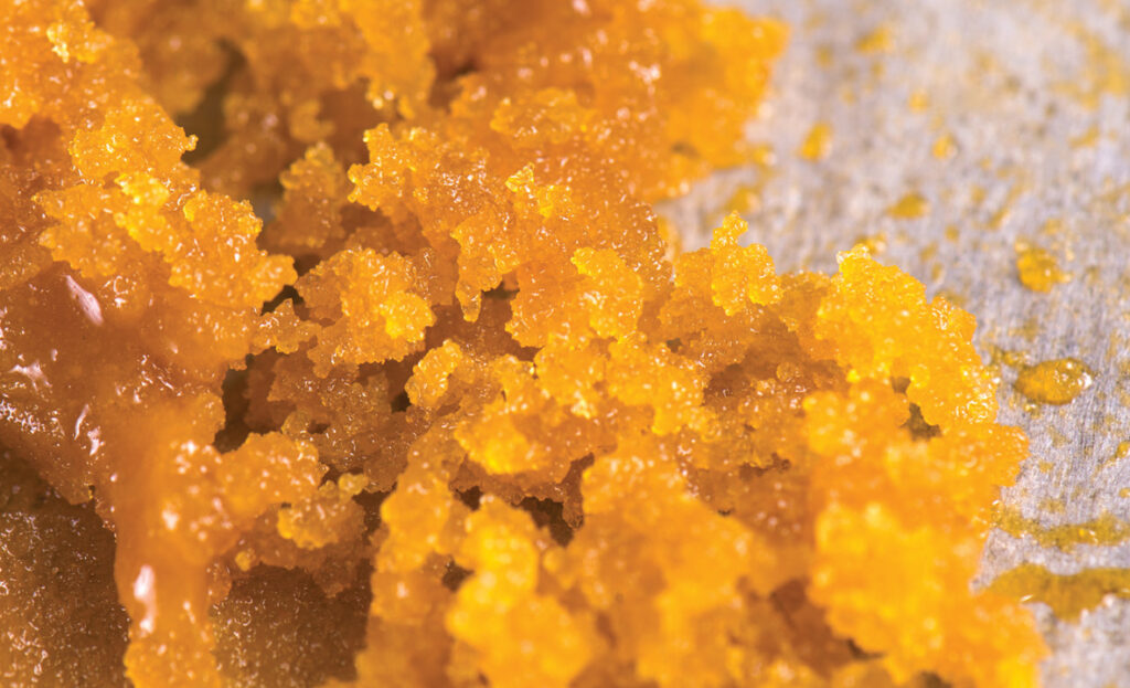 Dangers of Highly-Concentrated Marijuana Wax