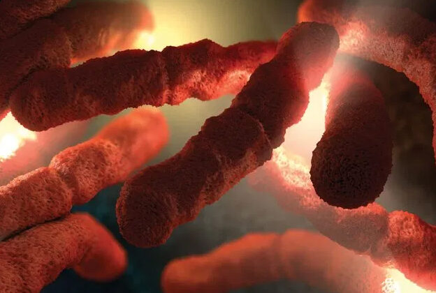 Update on the Oral-Systemic Link course image