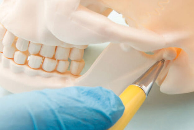 Effects of Estrogen in Temporomandibular Disorders course image