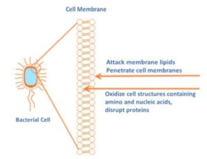 Oxidizing agents and susceptibility