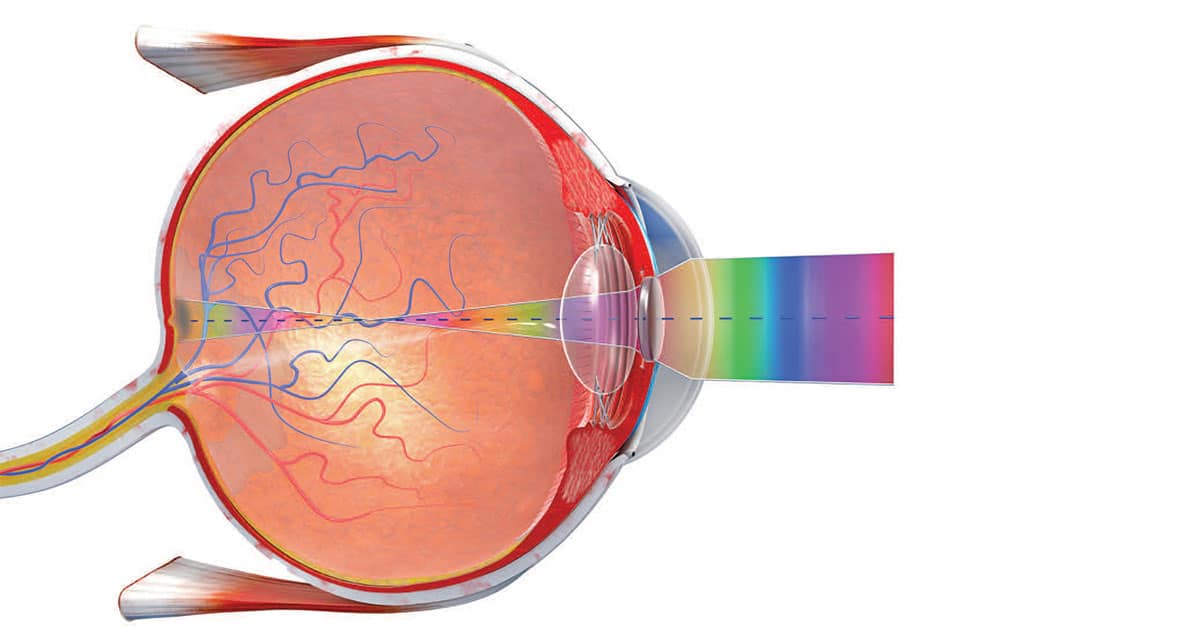 Visual Acuity