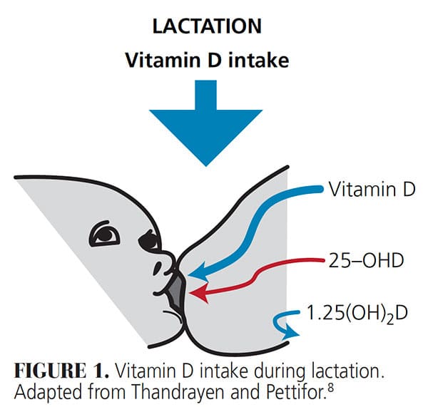 Enamel Development and Vitamin D Deficiency in Breastfed Infants