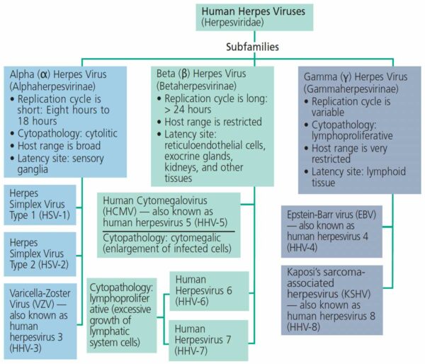 Reducing Transmission of Herpes Simplex Virus Type 1 In Clinical