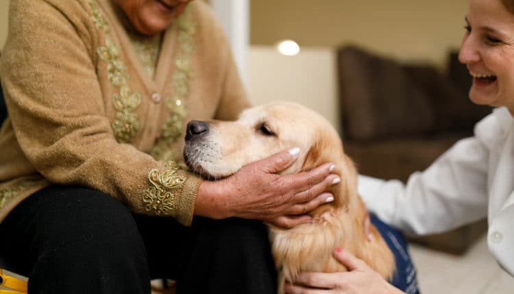 Senior woman and caregiver with therapy dog at home