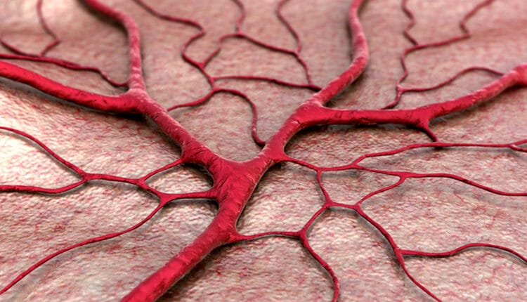 Capillary