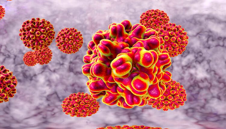 360 degree panorama view of Hepatitis B viruses