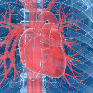 Preventing Infective Endocarditis